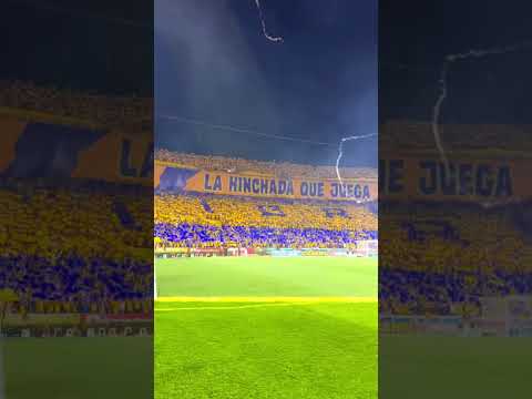 "La hinchada que juega " Barra: Libres y Lokos • Club: Tigres • País: México