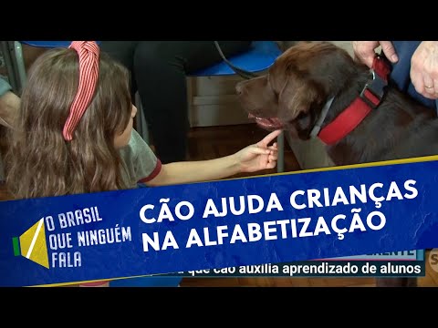Cachorro que ajudou em Brumadinho vira peça fundamental na alfabetização | O Brasil que Ninguém Fala
