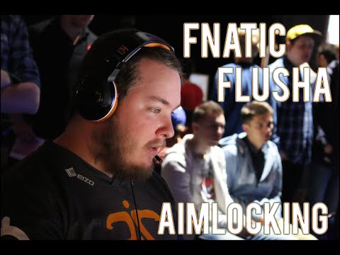 Fnatic Flusha aimlock through walls live at Dreamhack Winter - LDLC vs Fnatic