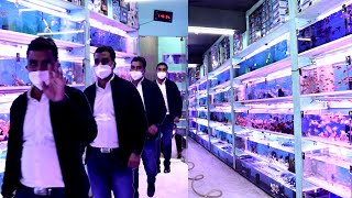 Biggest Wholesale Aquarium Shop in Delhi || Wholesale Fish Aquarium Shop in Delhi