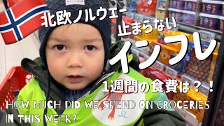 【北欧生活】ノルウェー🇳🇴食料品インフレ、エグくて泣きそう｜ノルウェーの平均は4人家族で週に約36000円😱｜節約した我が家の1週間分の食費は？｜バイリンガルキッズと現地スーパーでお買い物