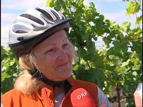 Burgenland heute   2005   Illmitz   Weingut Arkadenhof Kroiss