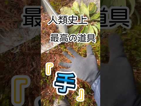 苔と紐を使った空中庭園、素晴らしいアイデアですね！  庭園