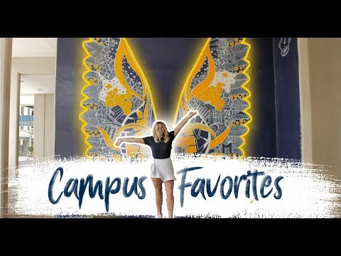 Summer At The University of Michigan - Campus Favorites