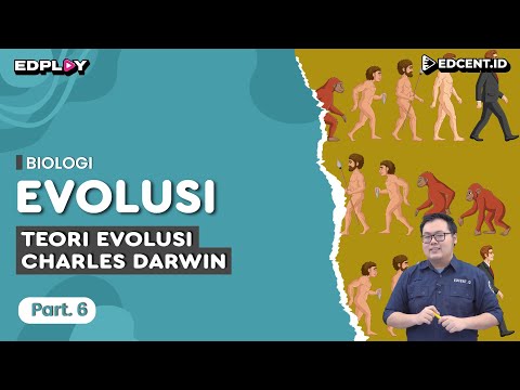 Materi Biologi: Evolusi | Teori Evolusi Charles Darwin | Part 6