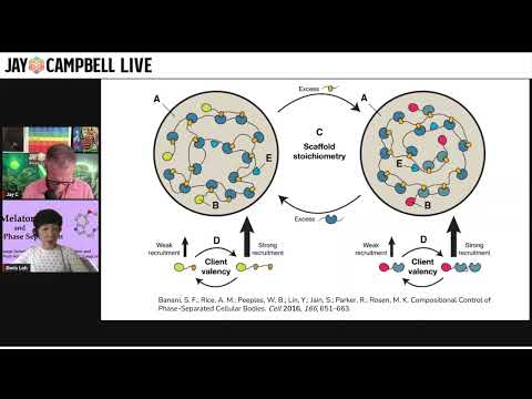 Doris Loh - Melatonin and Phase Separation
