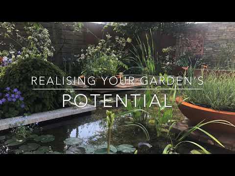 David Neale Landscapes video.