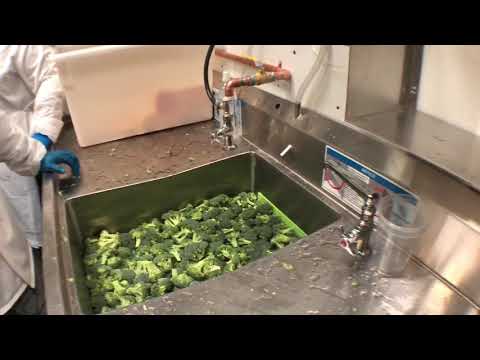 Marcus Antebi Founder of Juice Press Showing his Favorite Small Duty Produce Washing Sink