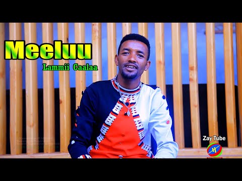 Lammii Caalaa - Meeluu - New Ethiopian music - Oromo cultural video clip.