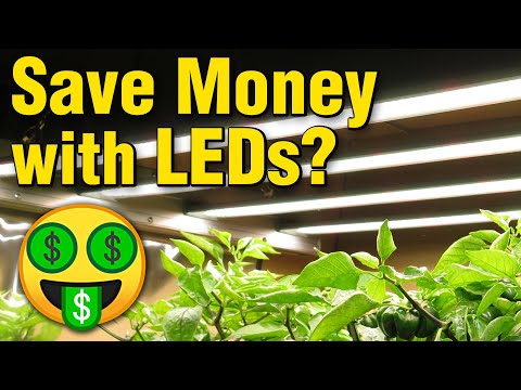 Electrical Savings: LED Payoff Cost Calculator (High...