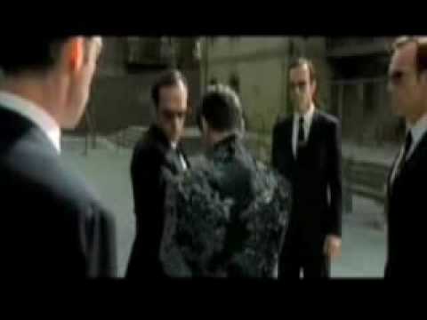 Matrix + Muse Glorious