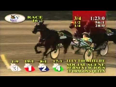 2014 I Luv The Nitelife Feature