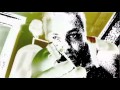 FLATLINERZ Famous By Jamel Redrum Simmons PRODUCED BY LORDPHAT