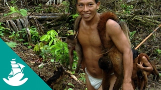 Children of the Jaguar - Now in Hight Quality! (Full Documentary)