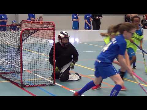 Nibacos Sininen - Blue Fox 08    2.erä