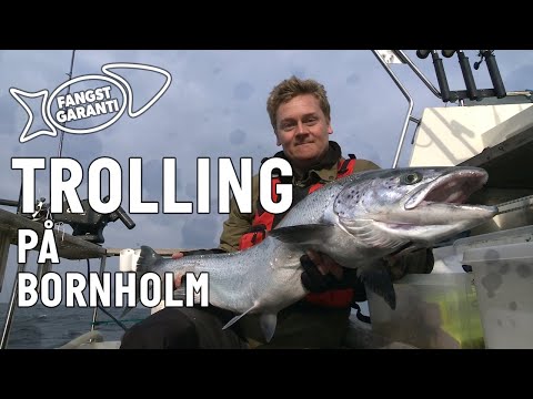 Trollingfiskeri efter laks på Bornholm med Fangstgaranti