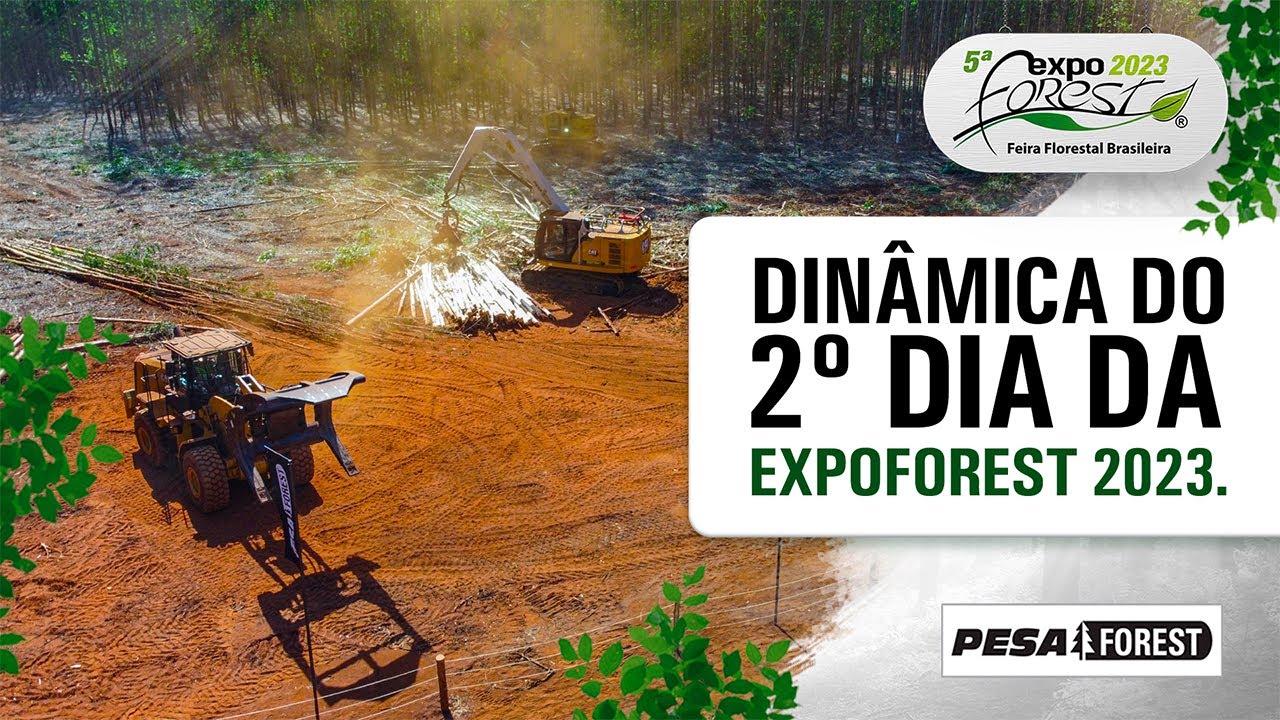 Transmissão Online Profissional