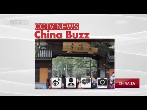 China Buzz: Two dead sperm whales found in Jiangsu