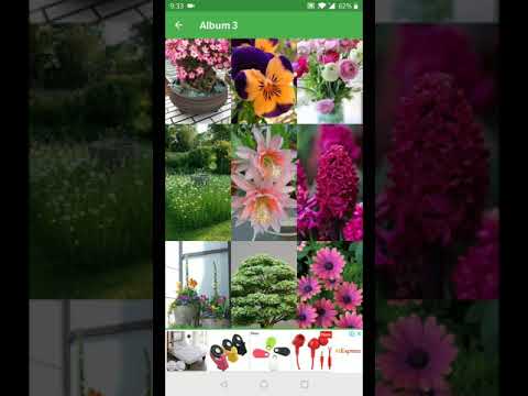 Nature Wallpapers Video