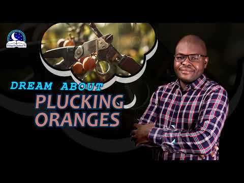 Dream About Plucking Orange Fruits - Christian Dream Interpretation