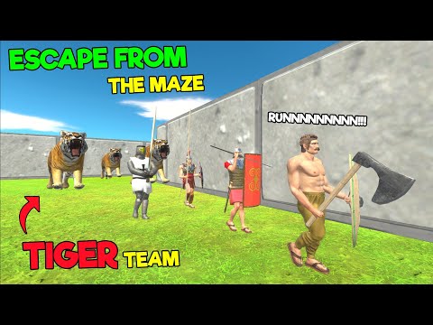 Escape from the Maze of Tiger Team - Animal Revolt Battle Simulator