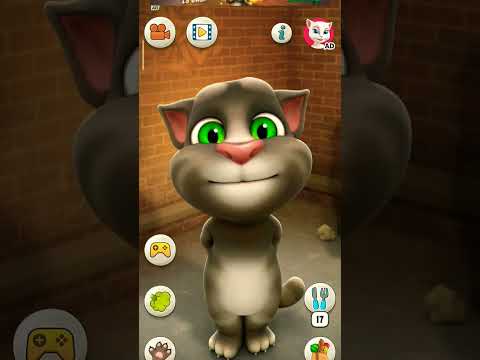 #023 tom talking fanny video#tom #tom #trending #cat #catlover #viralvideo