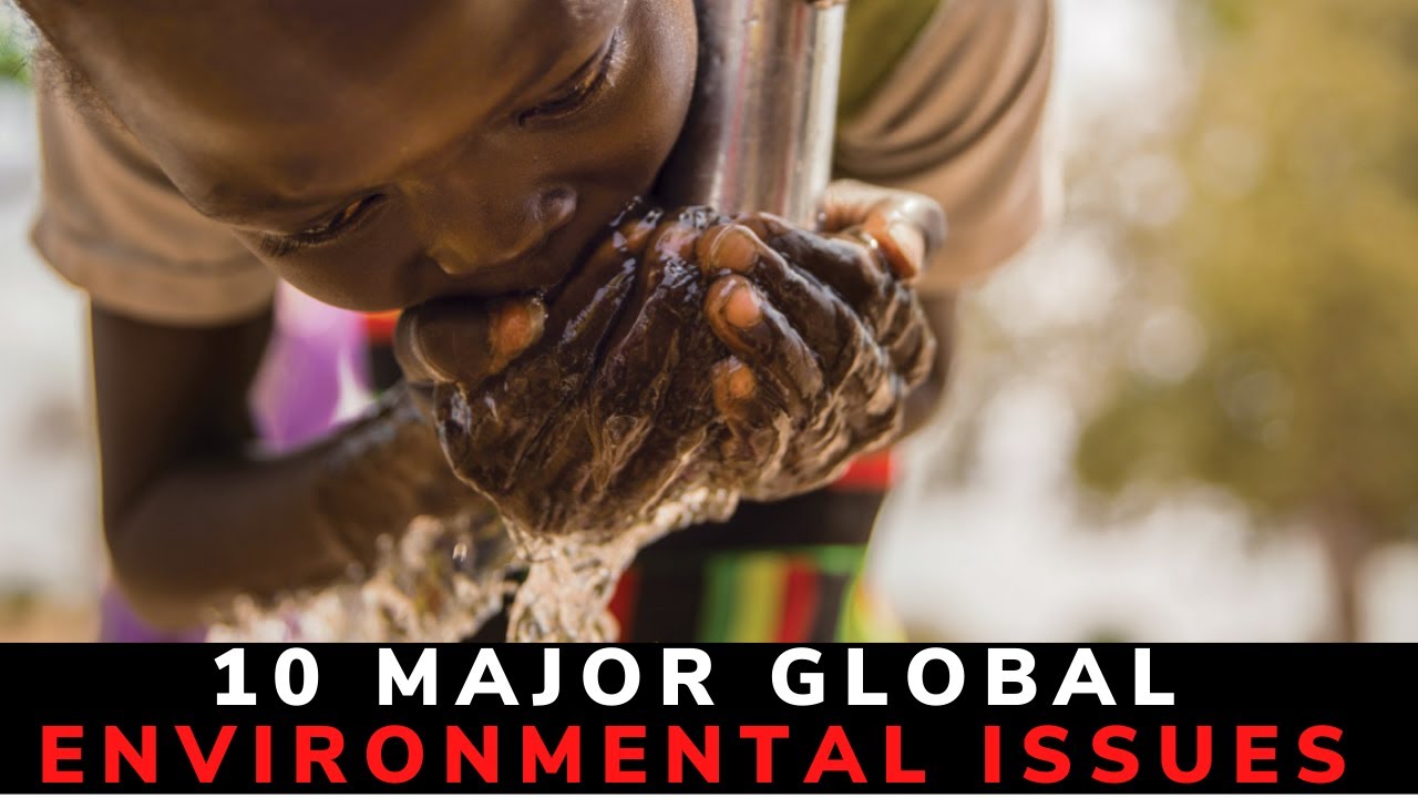 What are the top 10 environmental problems?