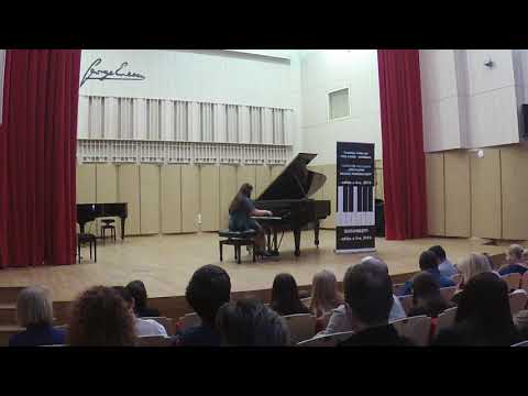 Irina Petrescu, viziuni de Carmen Petra Basacopol