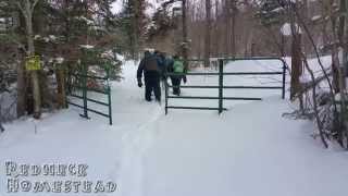 preview picture of video 'Hike to The Off Grid Cabin: Trek into the woods | Redneck Homestead'