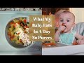 What My 8 Month Old Eats In A Day| Baby Led Weaning