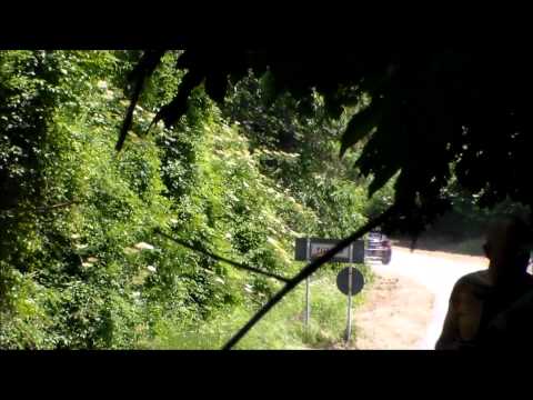 33° Rallt Degli Abeti e Dell'Abetone 2015 R. Marchetti - J. Parducci Rover MG ZR 105 A5