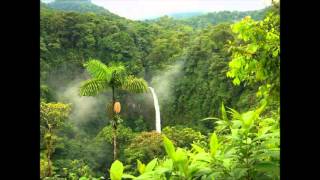 Afro-Celt Sound System - 'Further in time'