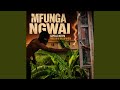 Mfunga Ngwai
