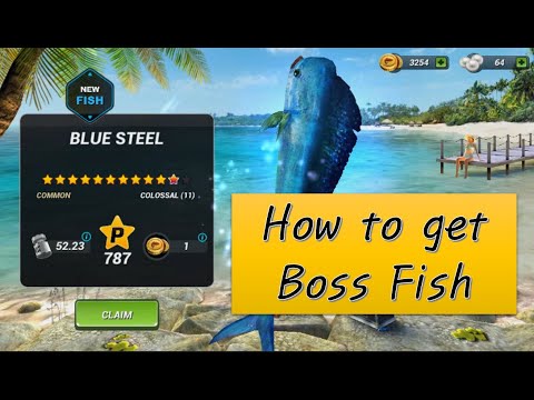 Fishing Clash - How to get boss fish