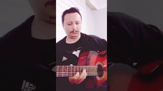 Tan Taşcı - Rica Ederim ( Gitar Solo)