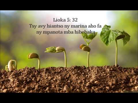 Fihirana Ffpm 428 Reko 'zao ry Tompo