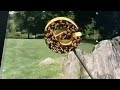 Sesame Street The Letter E Spinning Around