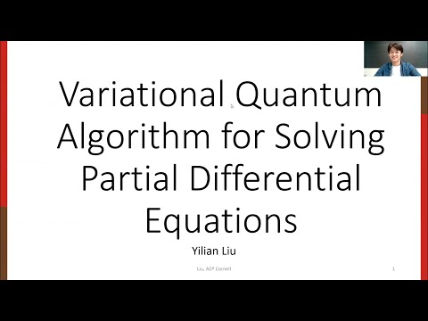 10 | Solving Nonlinear Partial Differential Equations using Variational Quantum Algorithms on Noisy Quantum Computers