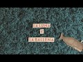 La Luna Y La Ballena - Cuñao - Stop Motion Official Music Video