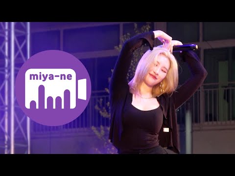 아이콘