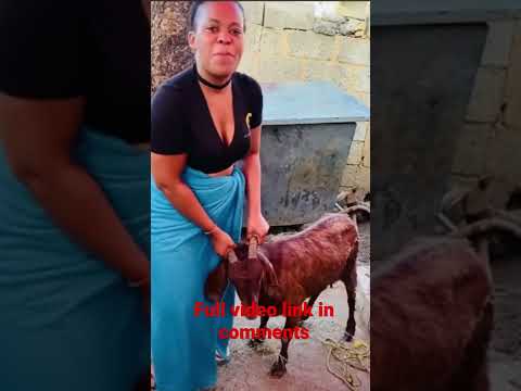 Zodwa Wabantu performs Sangoma Ritual