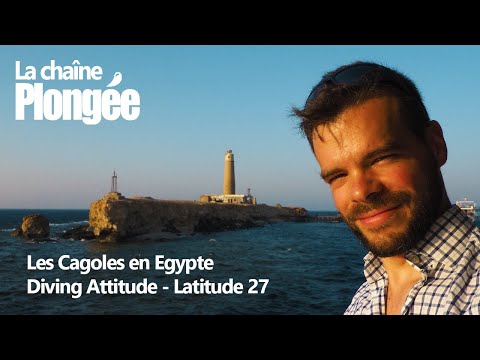 download lagu mp3 mp4 Diving Attitude, download lagu Diving Attitude gratis, unduh video klip Diving Attitude