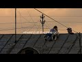 Where D All The Time Go Playlist