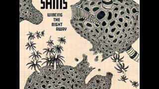 The Shins - Split Needles