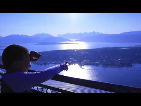 DJ Zander - Arctic Downtempo (Part 1) [Lounge - Chill-out - Instrumental - Vocal - Slow-Trance]