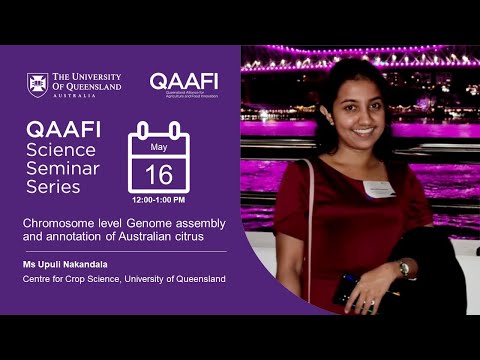 Chromosome level Genome assembly and annotation of Australian citrus