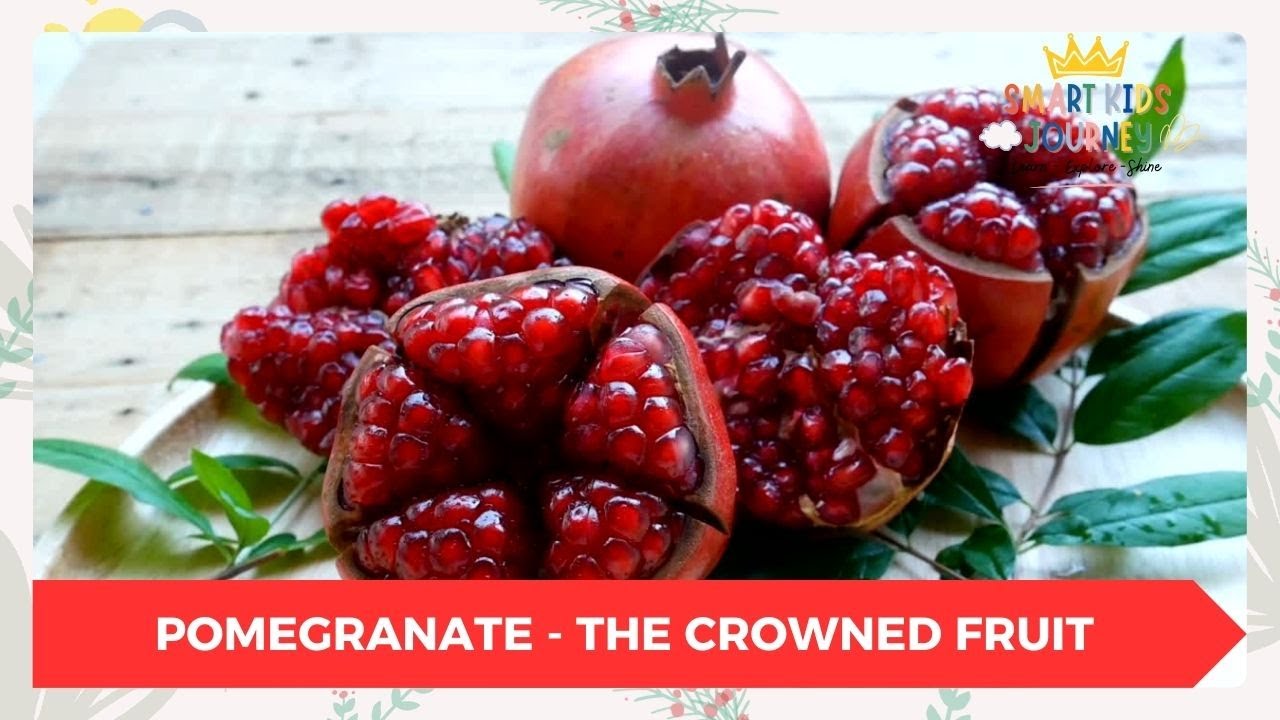 Pomegranate - The Crowned Fruit | Smart Kids Journey