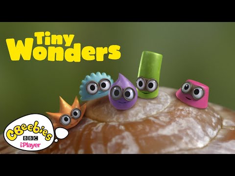 Tiny Wonders | Official Trailer | CBeebies