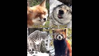 Download lagu Your Month Your Spirit Animal 💅🏻 #animals #month #spiritanimals @Lady_Yunaro紫 mp3
