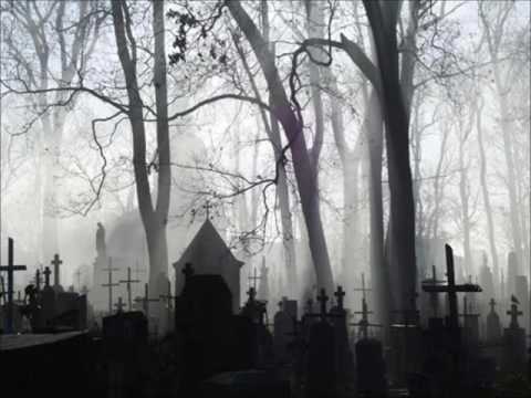 OLAF PRP - Sens Istnienia